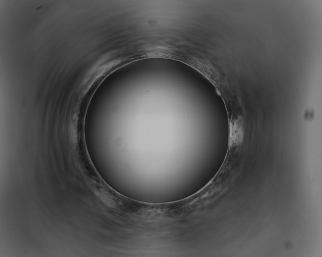 X0000102540291200808081528