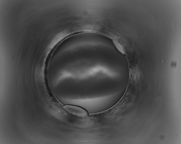 X0000102540292200808081528
