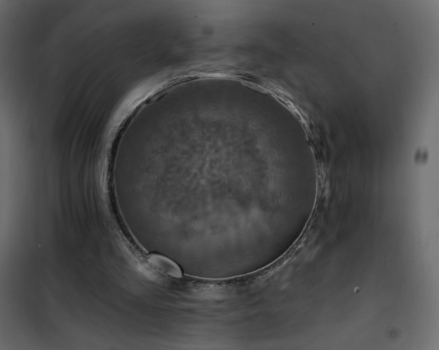 X0000102540293200808081528