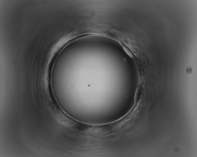 X0000102540294200808081528