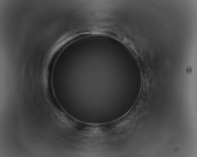 X0000102540295200808081528