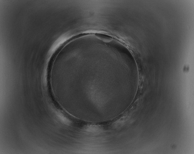 X0000102540296200808081528