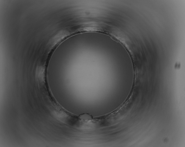 X0000102540297200808081528