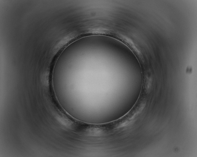 X0000102540299200808081528