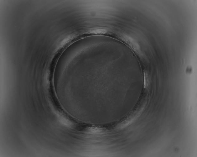 X0000102540300200808081528