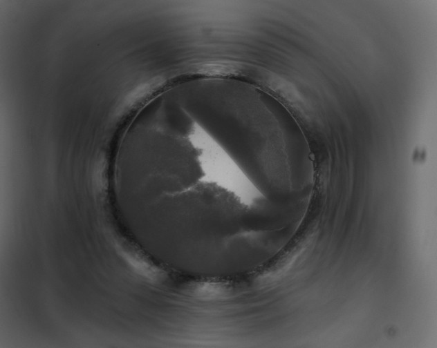 X0000102540303200808081528