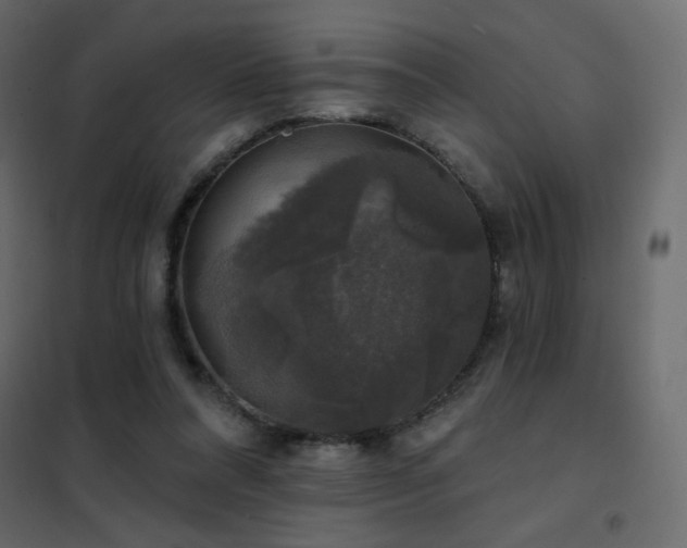 X0000102540304200808081528