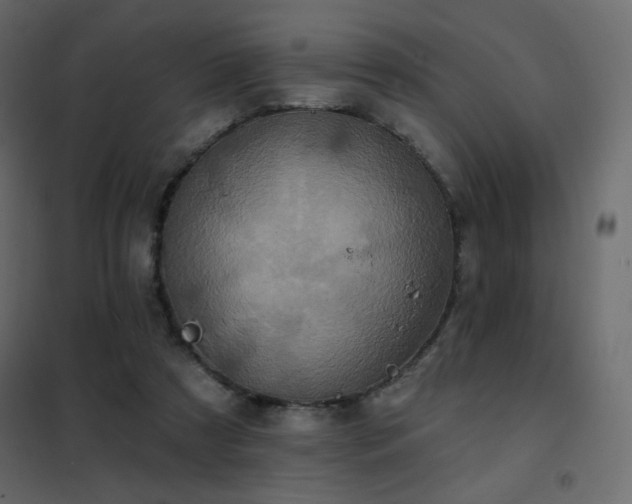 X0000102540305200808081528