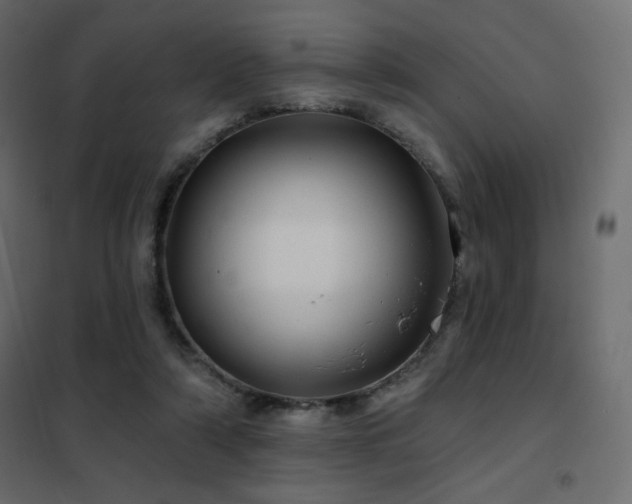 X0000102540306200808081528