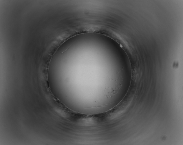 X0000102540307200808081528