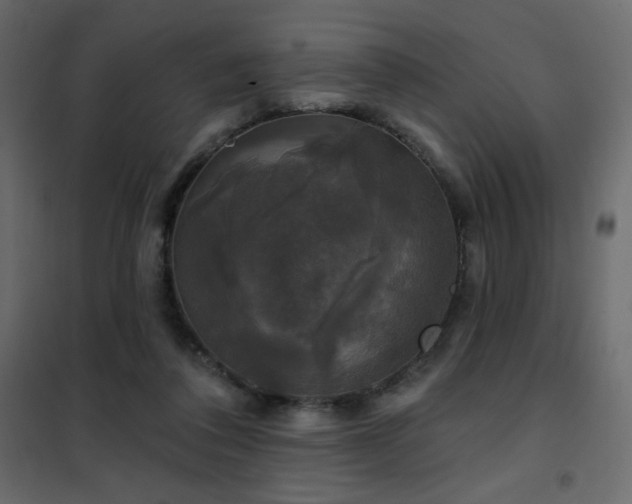 X0000102540308200808081528