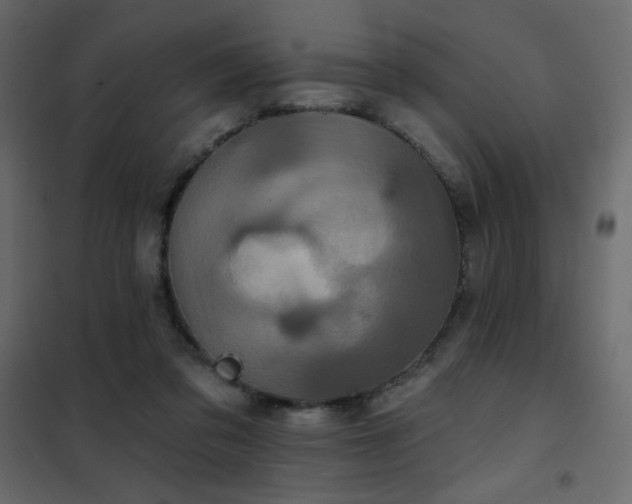X0000102540309200808081528