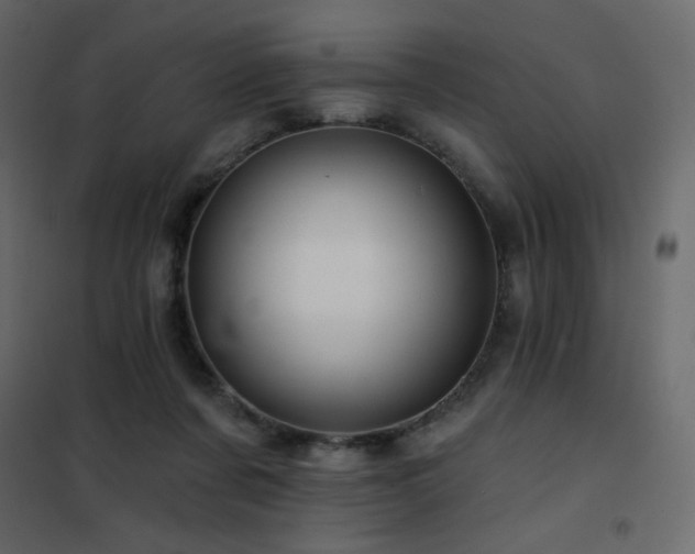 X0000102540311200808081528