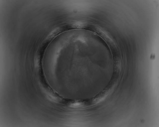 X0000102540312200808081528