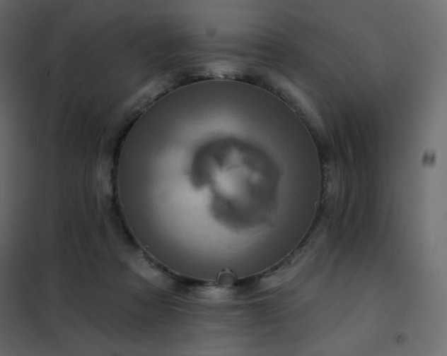 X0000102540313200808081528