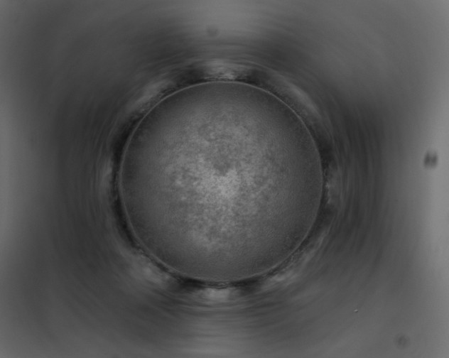 X0000102540314200808081527