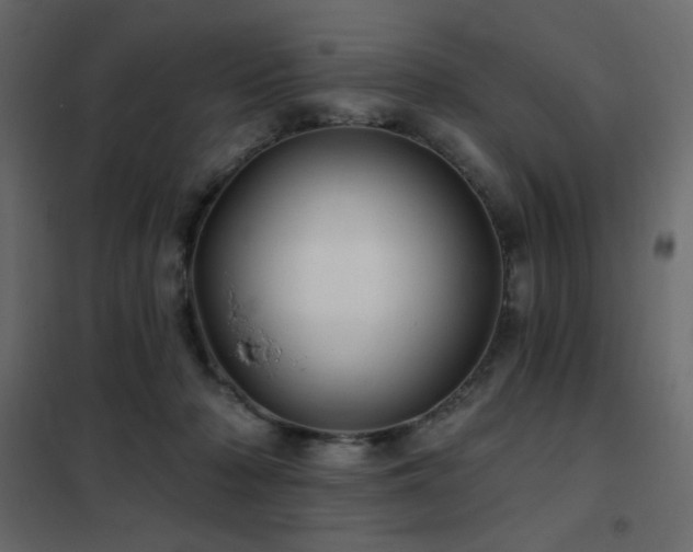 X0000102540318200808081527