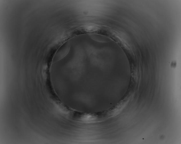 X0000102540319200808081527