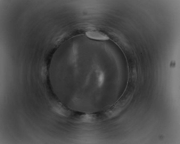 X0000102540320200808081527