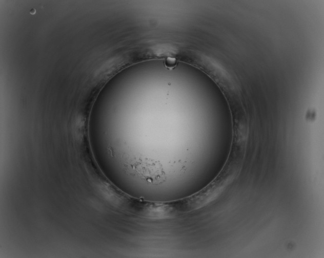 X0000102540321200808081527
