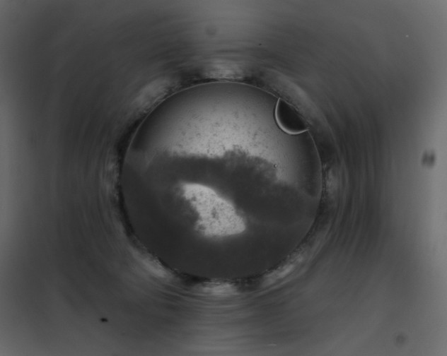X0000102540322200808081527