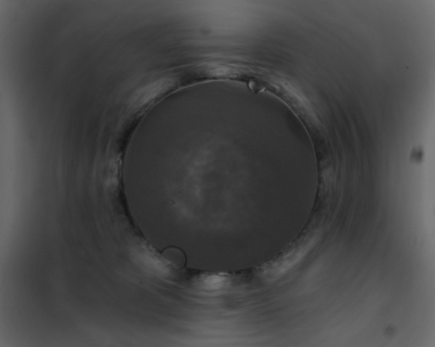 X0000102540325200808081527