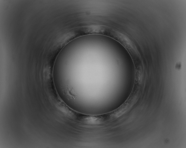 X0000102540326200808081527