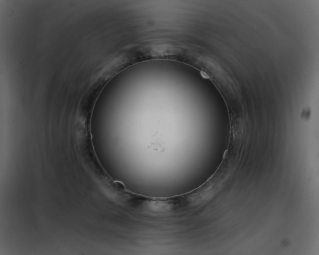 X0000102540327200808081527