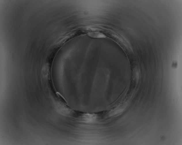 X0000102540328200808081527