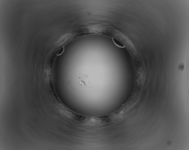 X0000102540329200808081527