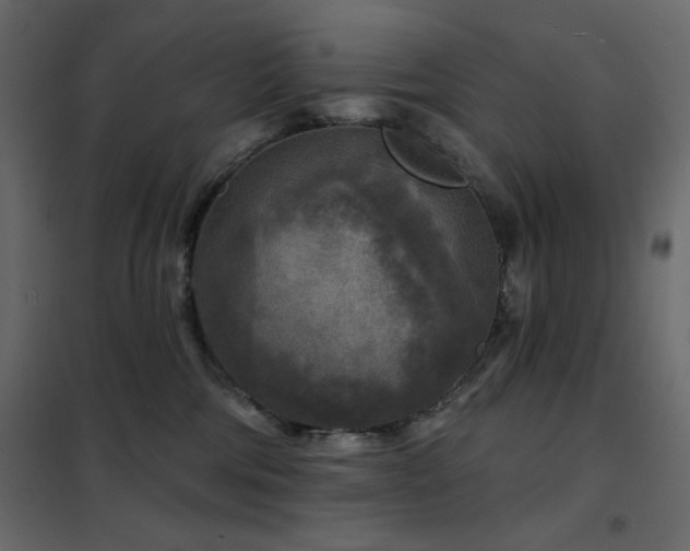 X0000102540330200808081527