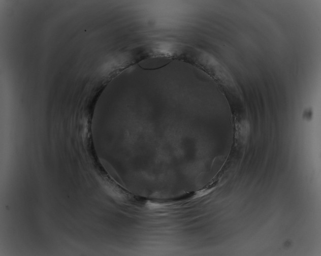 X0000102540331200808081527