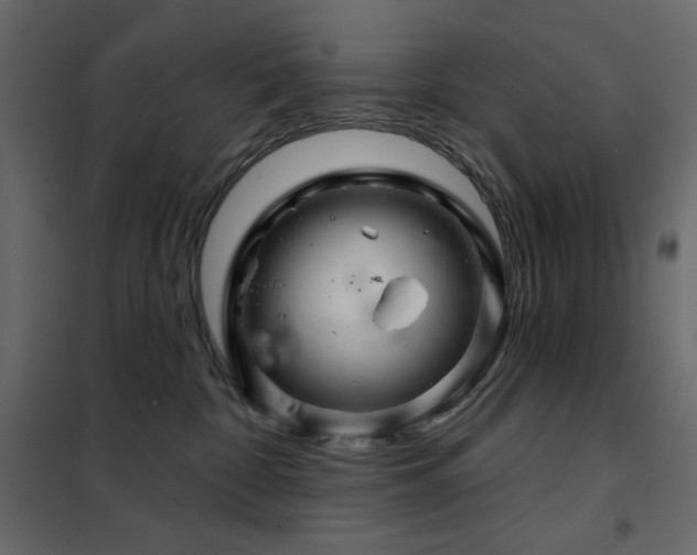 X0000102540332200808081527