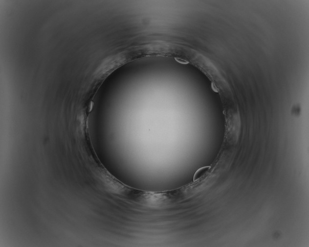 X0000102540333200808081527