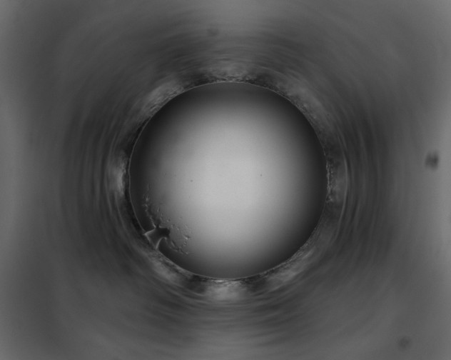 X0000102540334200808081527