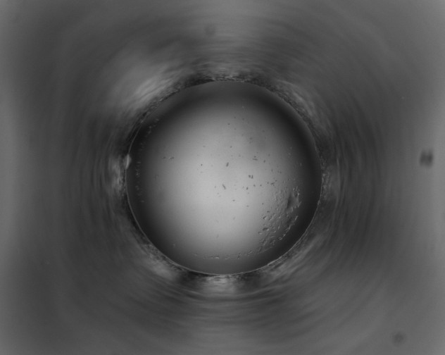 X0000102540335200808081527