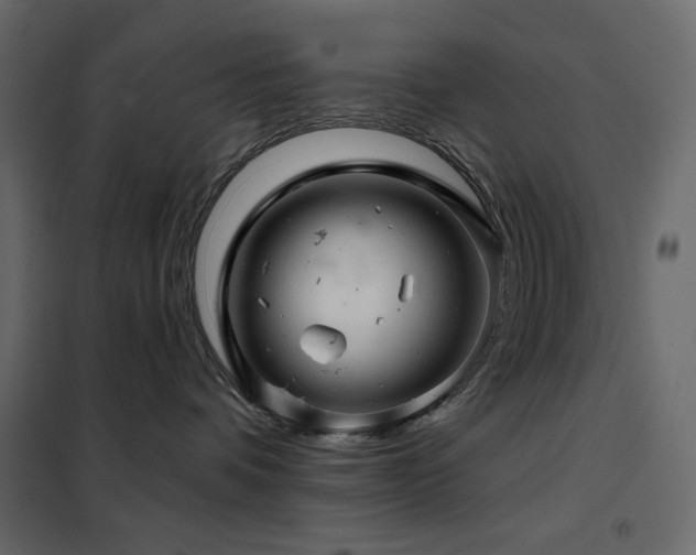 X0000102540336200808081527