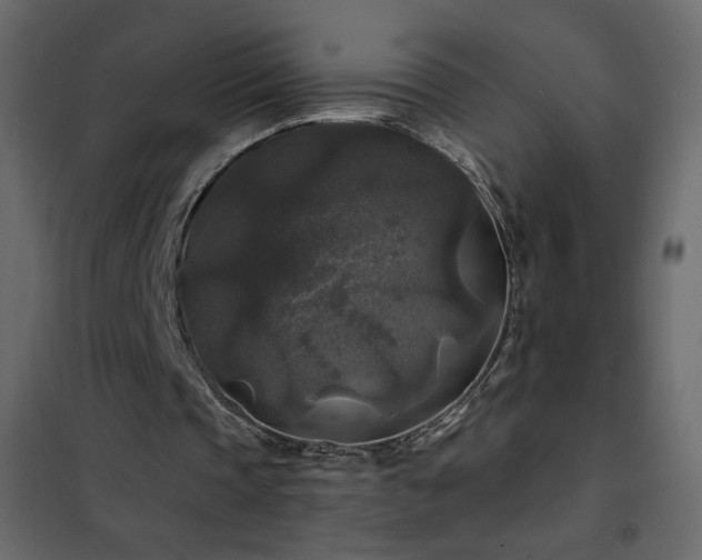 X0000102540337200808081526