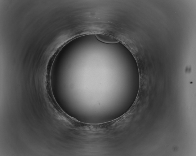 X0000102540338200808081526