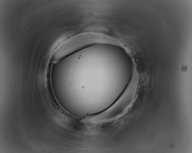 X0000102540340200808081526