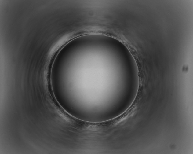 X0000102540341200808081526