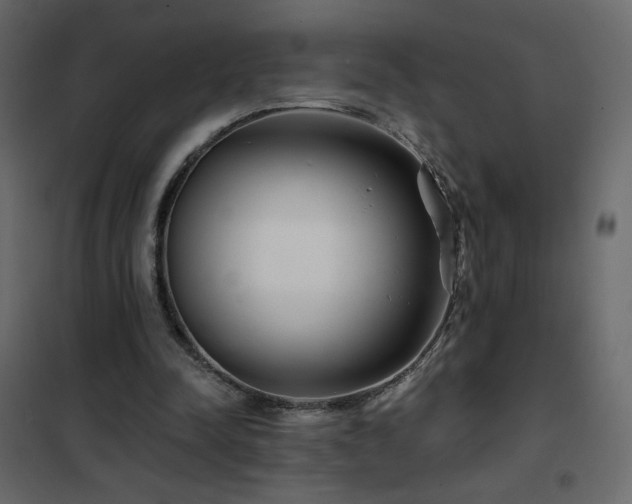 X0000102540342200808081526