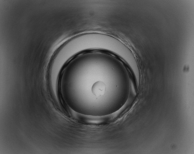 X0000102540344200808081526