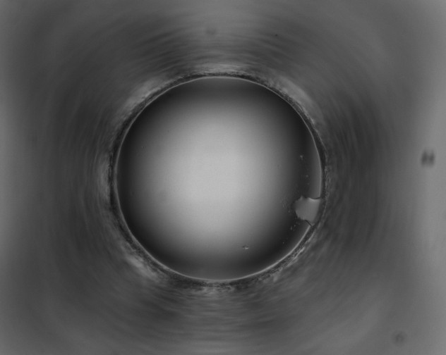 X0000102540345200808081527