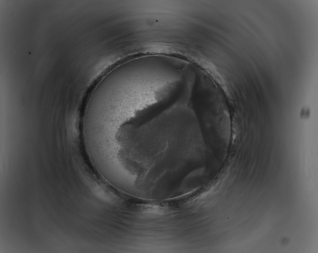 X0000102540347200808081527