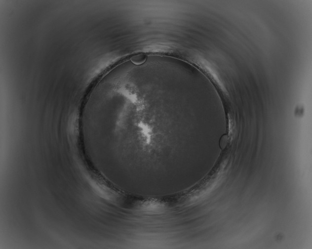 X0000102540348200808081527