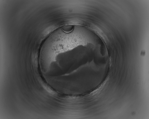 X0000102540349200808081527
