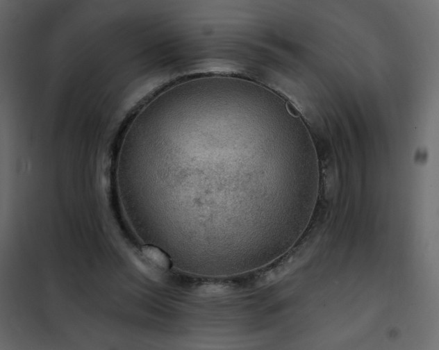 X0000102540350200808081527