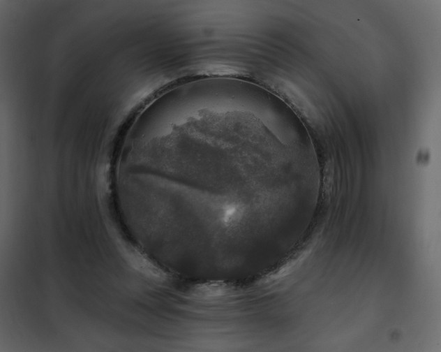X0000102540351200808081527