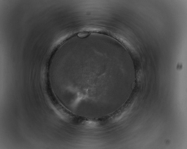 X0000102540352200808081527